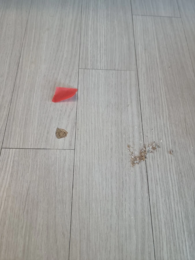 나무바닥보수 이음새 손상 현장